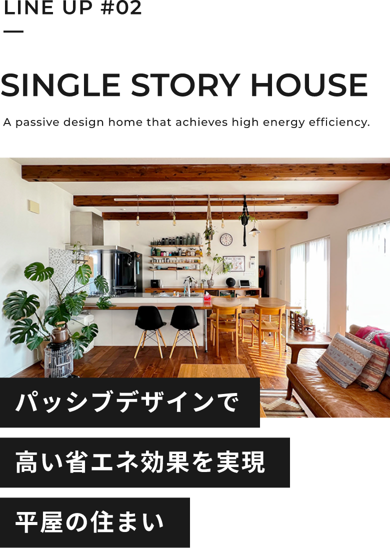 SINGLE STORY HOUSE