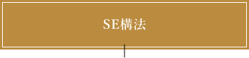 SE構法について